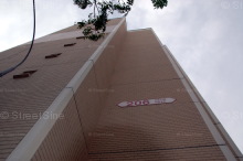 Blk 206 Petir Road (Bukit Panjang), HDB 3 Rooms #217952